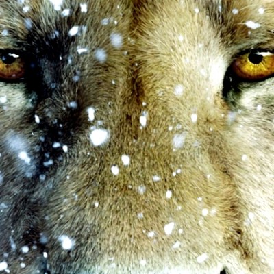 Abrindo as Portas do Guarda-Roupa – Conhecendo o Sobrinho do&nbsp;Mago